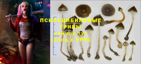 2c-b Медногорск
