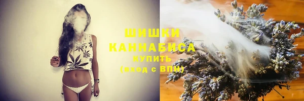 гидра Горно-Алтайск