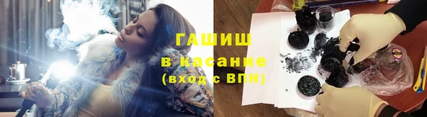 гидра Горно-Алтайск