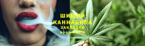 гидра Горно-Алтайск