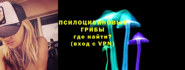 соль ск Горняк