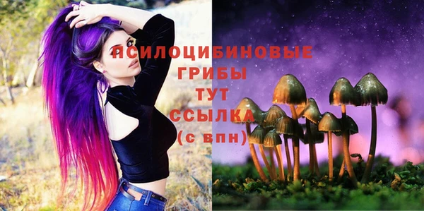 гидра Горно-Алтайск
