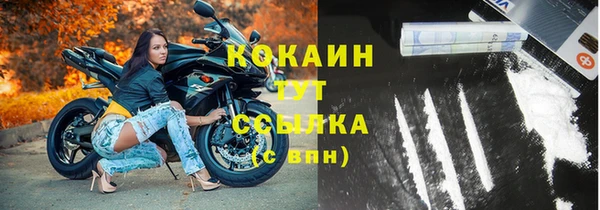 гидра Горно-Алтайск