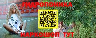 Альфа ПВП Аргун