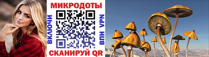 Галлюциногенные грибы мухоморы  гидра онион  Междуреченск 