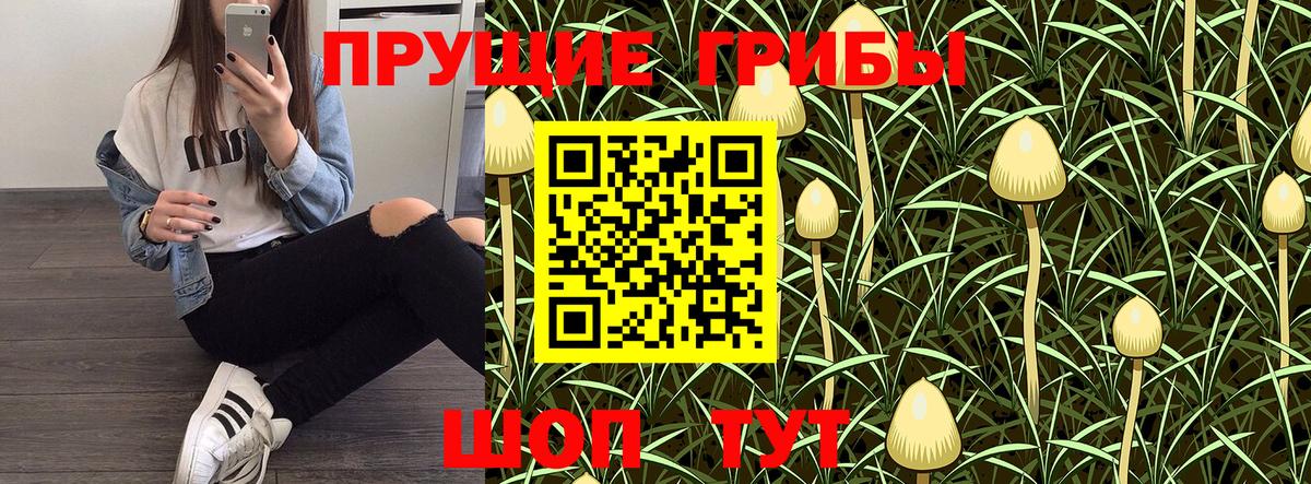 Псилоцибиновые грибы Magic Shrooms  Междуреченск  Галлюциногенные грибы ЛСД 